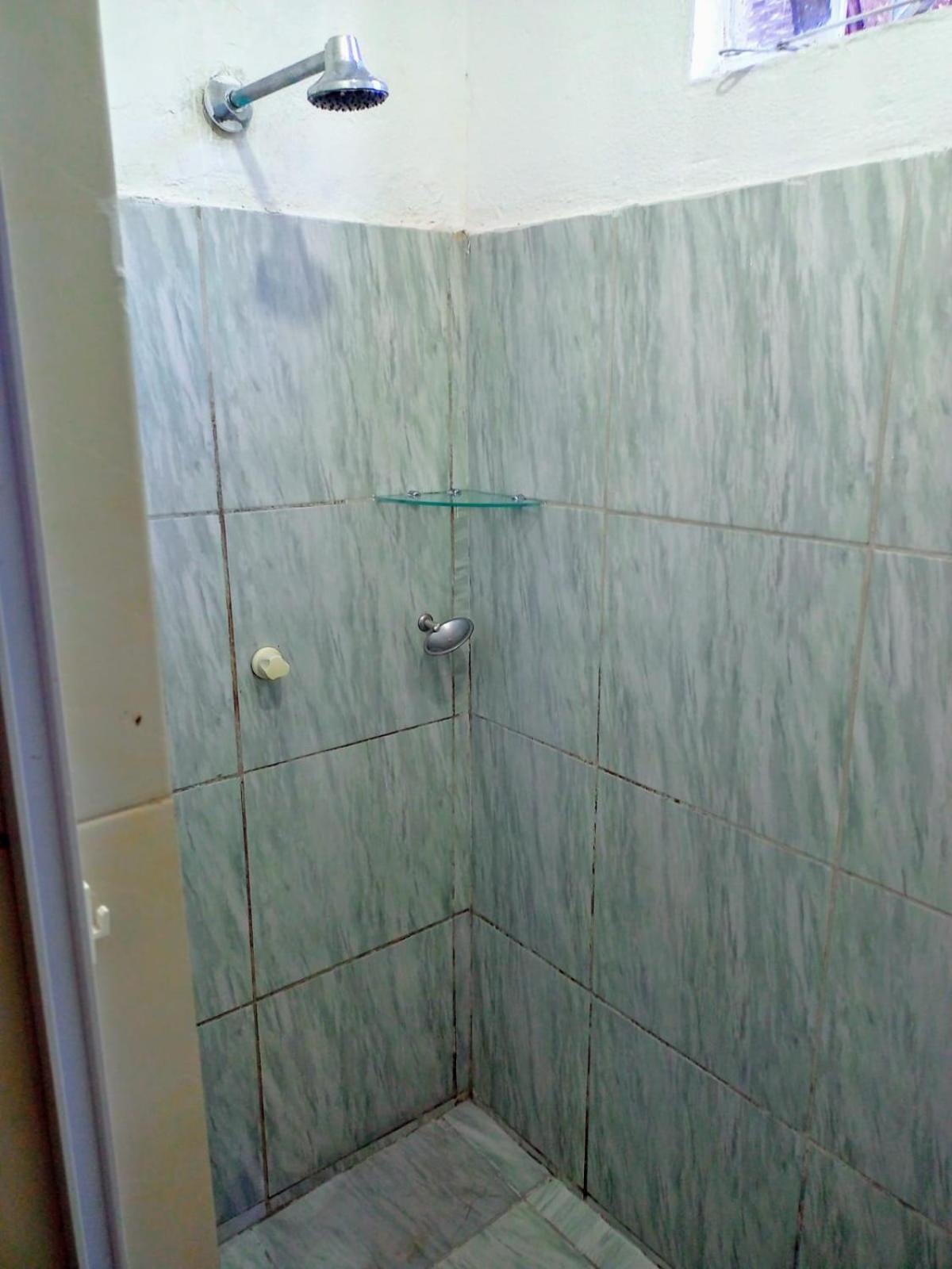 Oiti Fortaleza (Ceara)